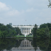 the white house